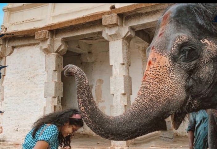 Hampi and Gokarna